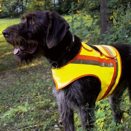 Warnweste für Hunde